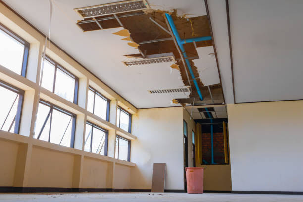 Best Flood restoration services  in Palm Harbor, FL