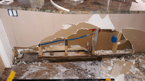 Best Basement water damage restoration  in Palm Harbor, FL