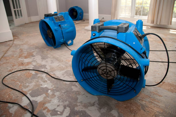 Best Fire Damage Restoration  in Palm Harbor, FL
