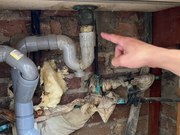 Best Ceiling water damage repair  in Palm Harbor, FL