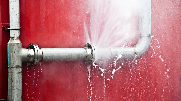 Best Sewage cleanup and water damage restoration  in Palm Harbor, FL