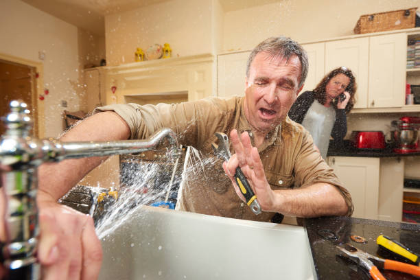 Best Local water damage restoration  in Palm Harbor, FL